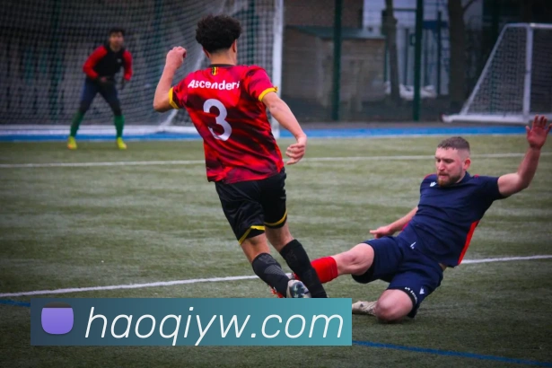 奖项图2